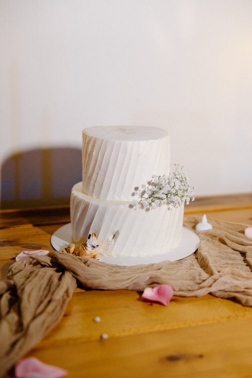 Alyssa and Brody_s Wedding Charlotte NC-686.jpg
